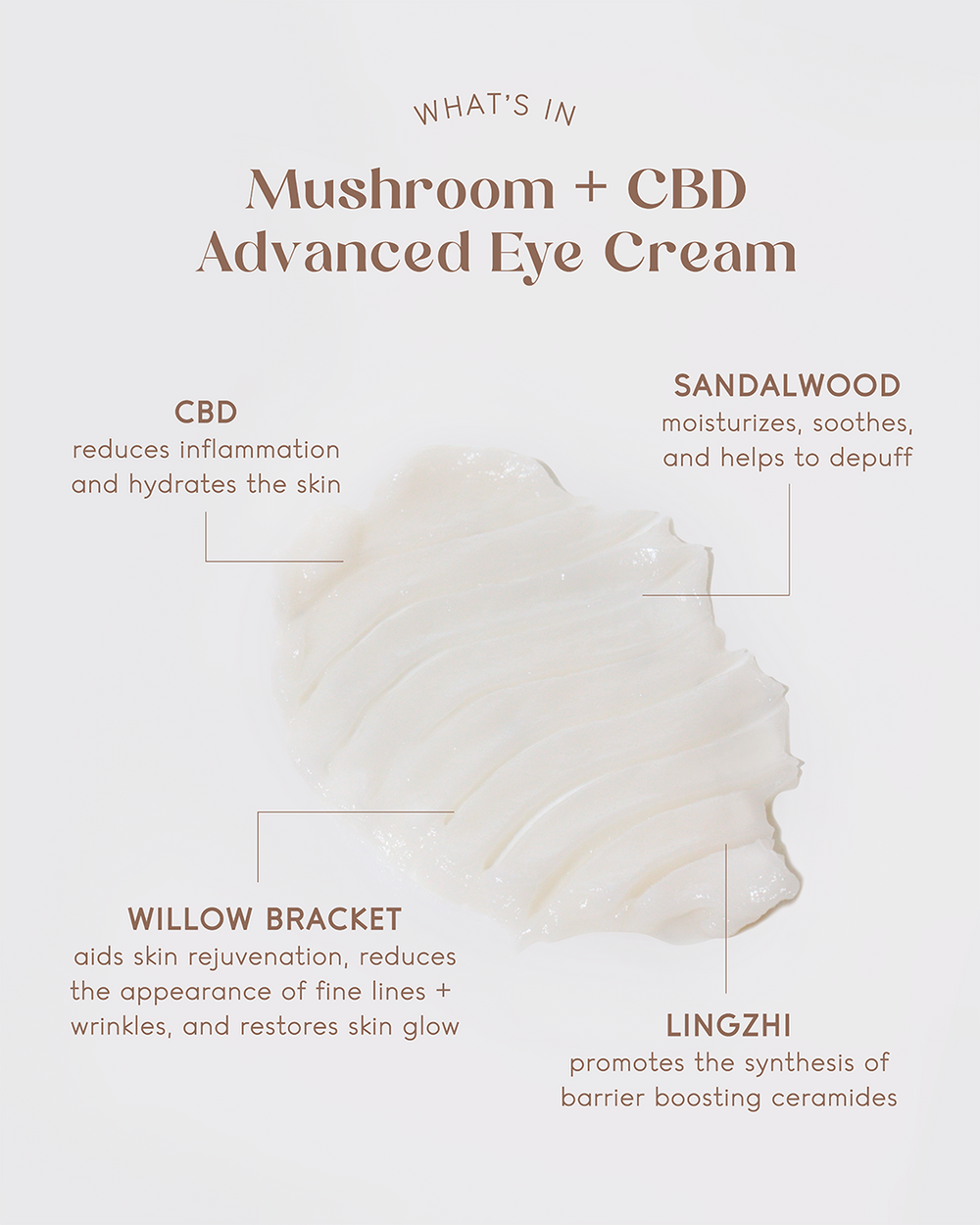 Mushroom + CBD Advanced Eye Cream – Kana Skincare